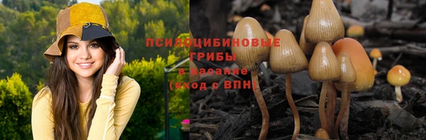 дживик Кулебаки