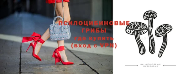 дживик Кулебаки