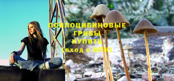 MDMA Кукмор