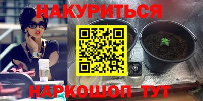спайс Обь