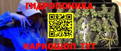 спайс Обь