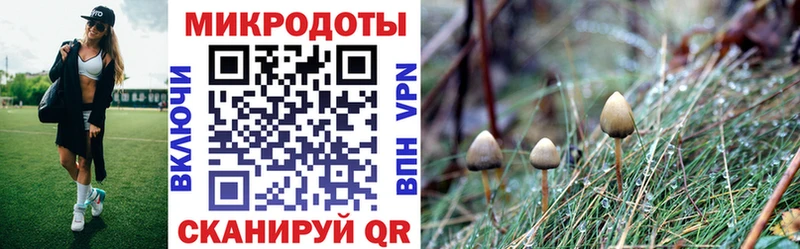 Псилоцибиновые грибы ЛСД  ОМГ ОМГ ONION  Электросталь  нарко площадка формула  купить  цена 