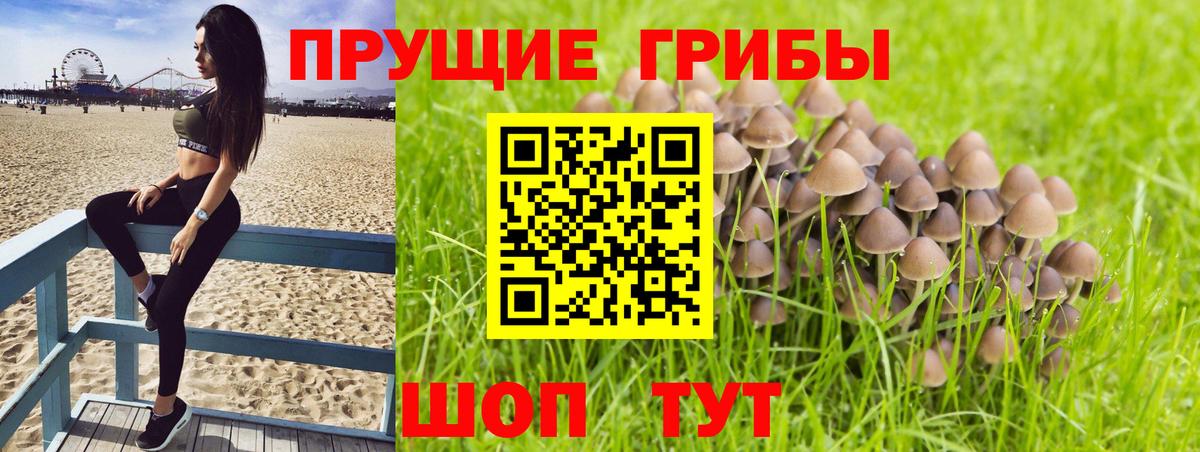 Псилоцибиновые грибы ЛСД Электросталь
